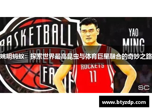 姚明蚂蚁：探索世界最高昆虫与体育巨星融合的奇妙之路